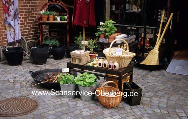 Kleinbild Scan Kodak Elite 100